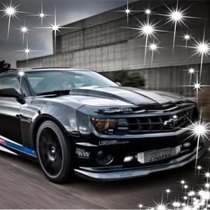 Meet your Posher, Devon